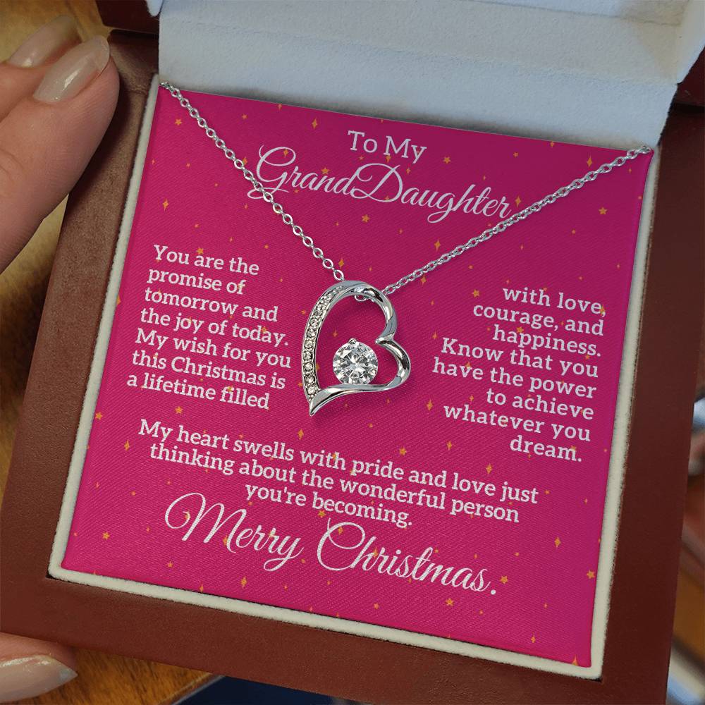 Merry Christmas to My Granddaughter: A Lifetime of Love, Courage, and Happiness