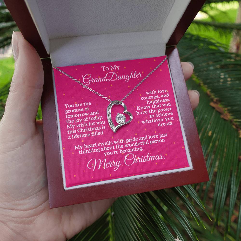 Merry Christmas to My Granddaughter: A Lifetime of Love, Courage, and Happiness