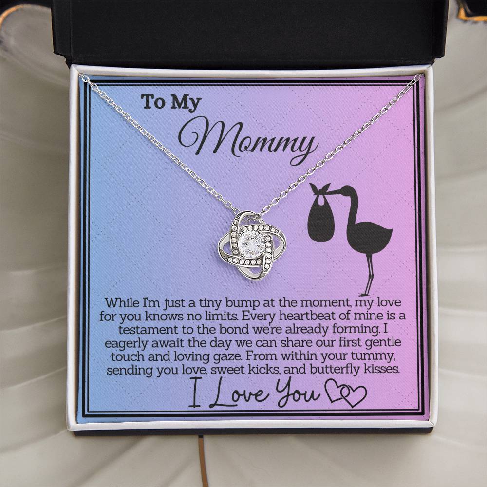 Unborn Baby's Love Letter to Mommy
