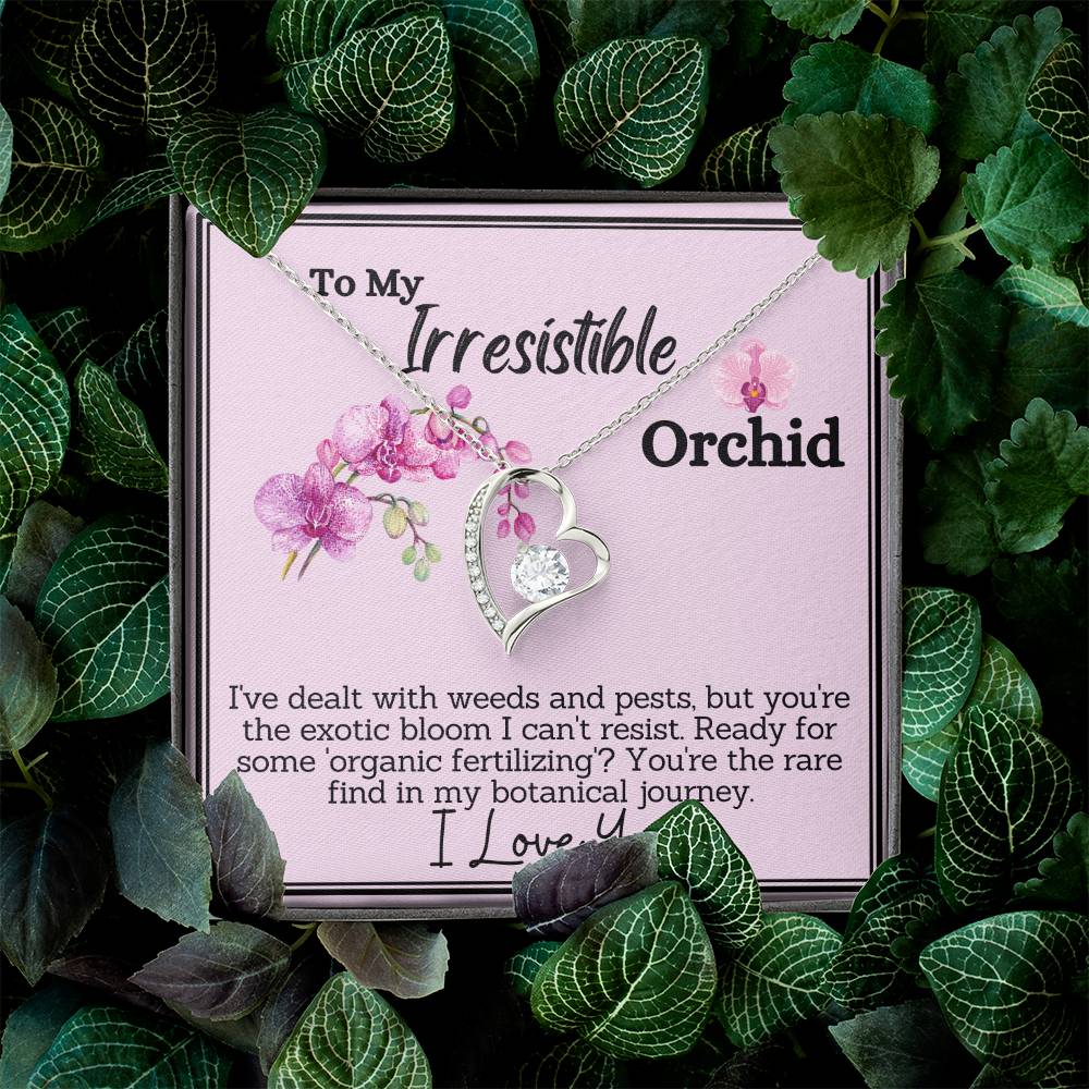 My Irresistible Orchid - A Rare Find in My Botanical Journey