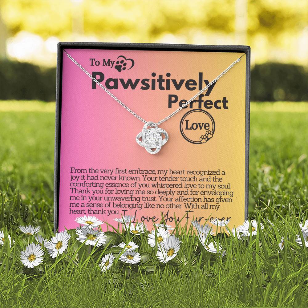 Pawsitively Perfect Love: A Heartfelt Thank You and Unwavering Trust