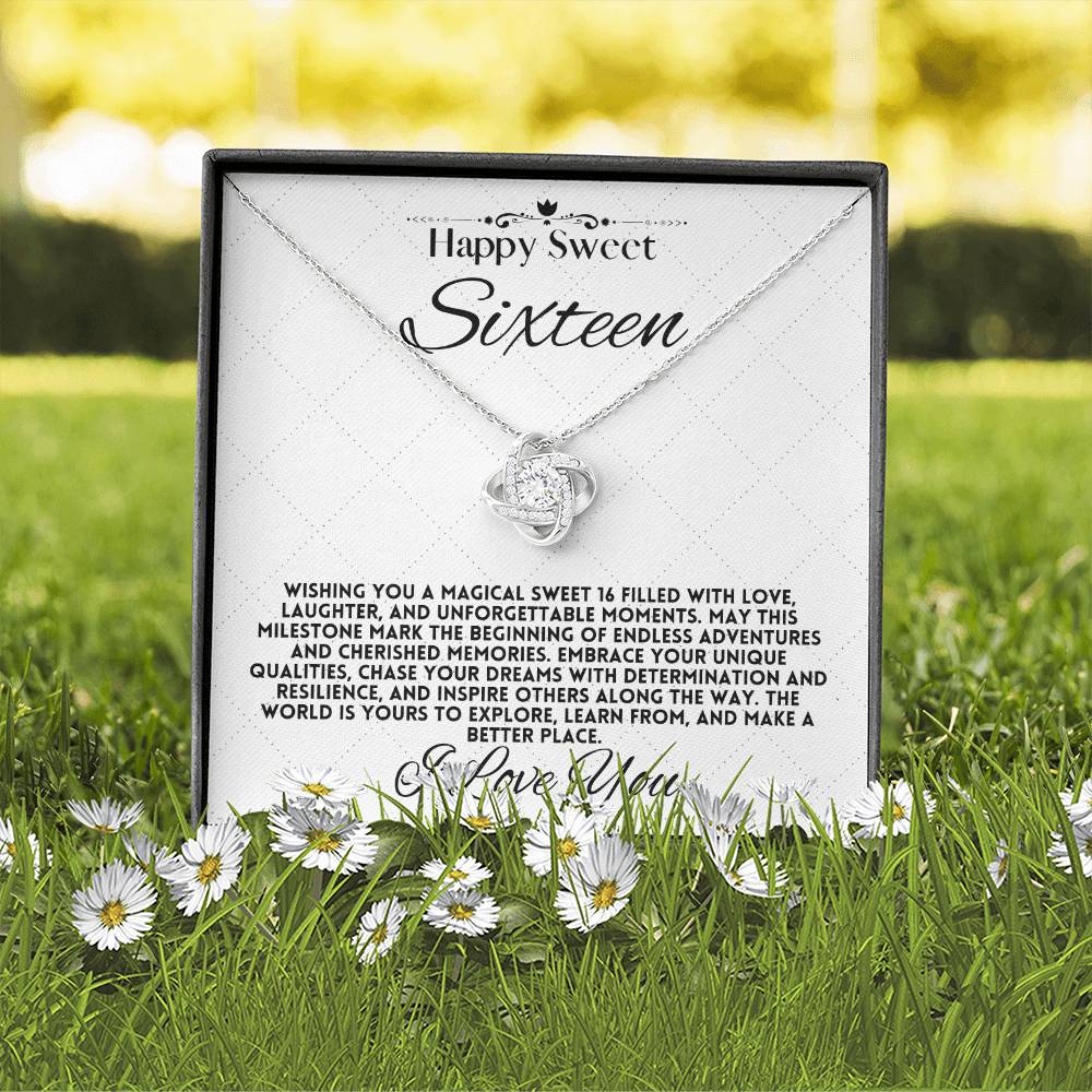 Magical Sweet Sixteen: Endless Adventures and Cherished Memories