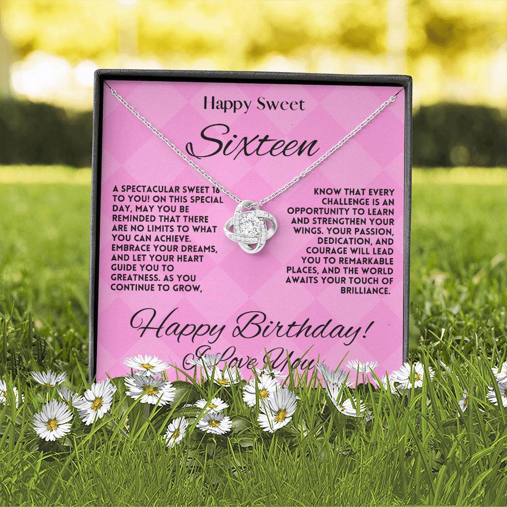 Embrace Your Dreams Sweet Sixteen