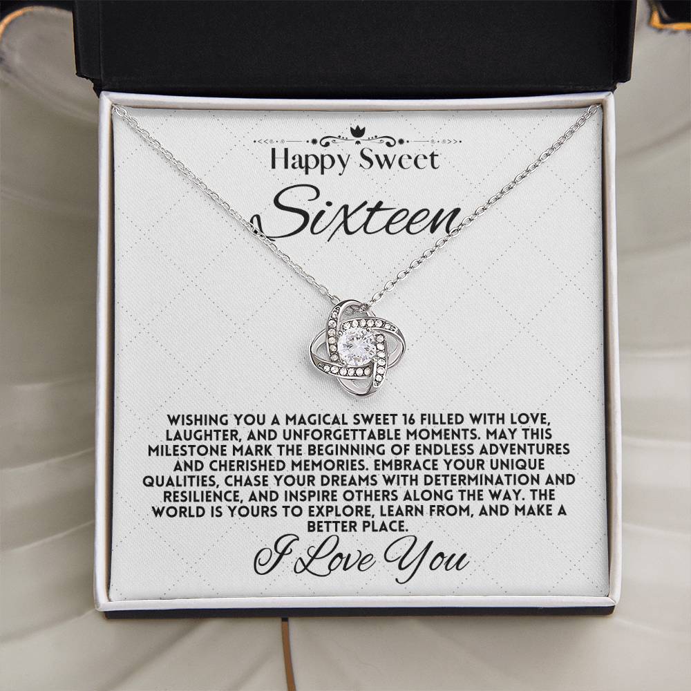 Magical Sweet Sixteen: Endless Adventures and Cherished Memories