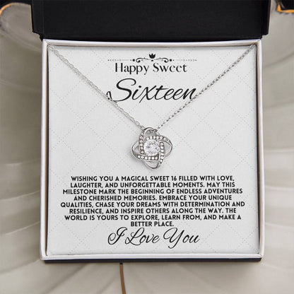 Magical Sweet Sixteen: Endless Adventures and Cherished Memories