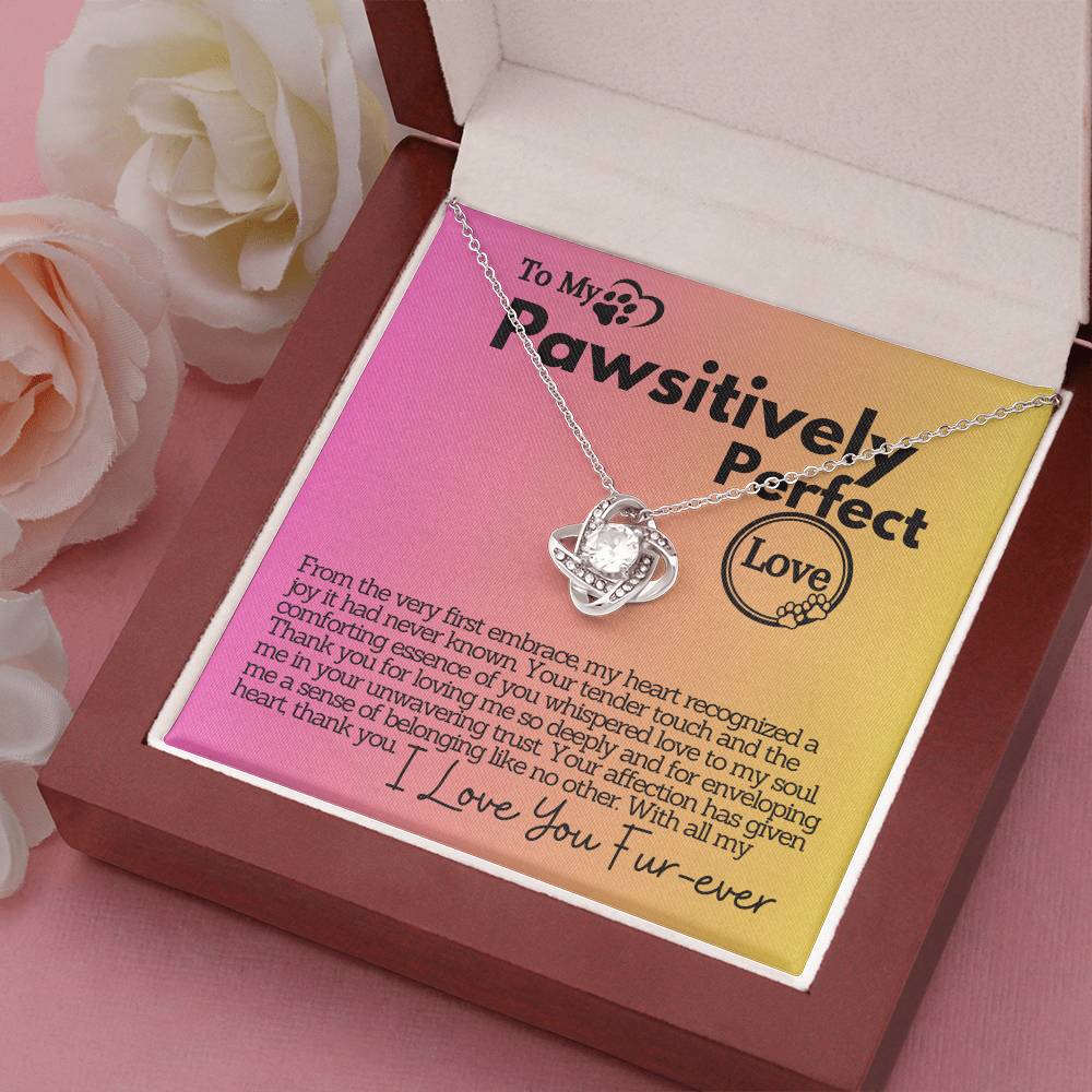 Zahlia Gift To My Pawsitively Partner In Life, Elegant Heart Jewelry Necklace Present With A Message Card In A Box for your Wife/Soulmate For Her Birthday/Christmas
