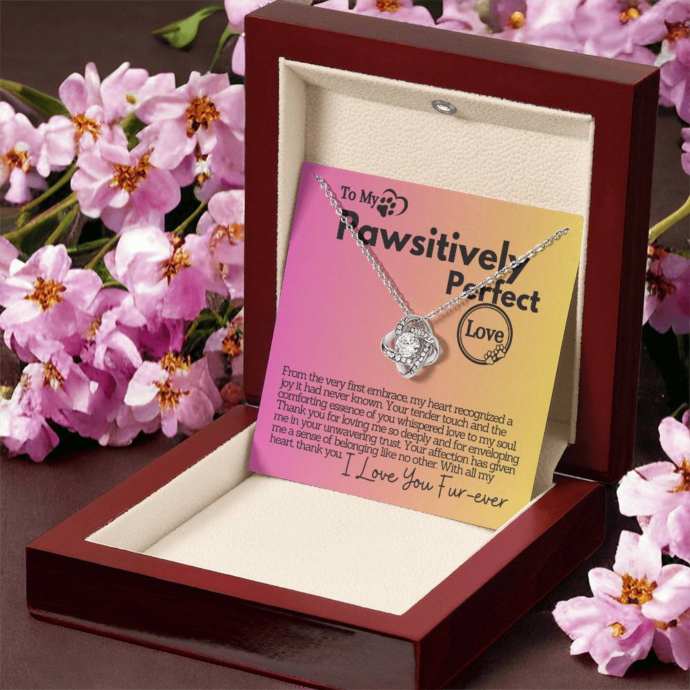 Zahlia Gift To My Pawsitively Partner In Life, Elegant Heart Jewelry Necklace Present With A Message Card In A Box for your Wife/Soulmate For Her Birthday/Christmas