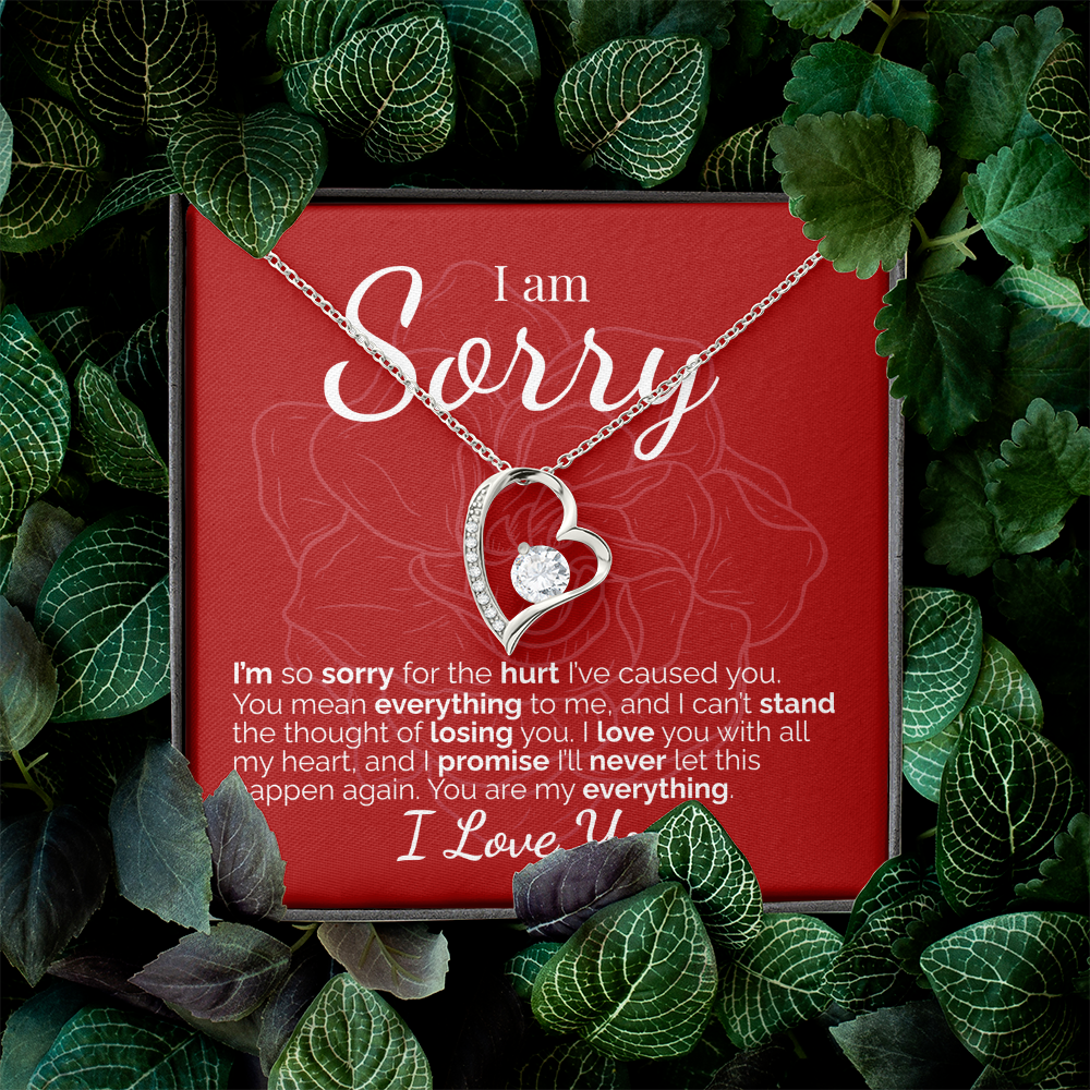 I'm Sorry: You Mean Everything to Me - I Love You and I'll Never Stop Fighting for Us.