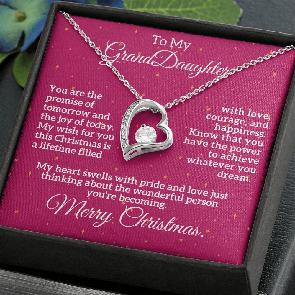Merry Christmas to My Granddaughter: A Lifetime of Love, Courage, and Happiness