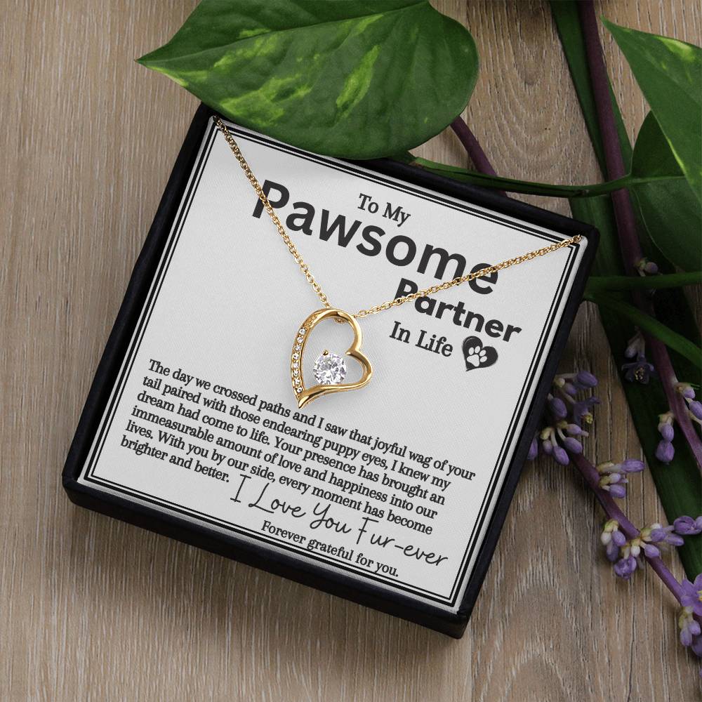Zahlia Gift To My Pawsome Partner In Life - Heart Jewelry Necklace With A Message Card In A Box, Elegant Pendant Gift For Her Birthday, Anniversary or Christmas - Gift Box Included