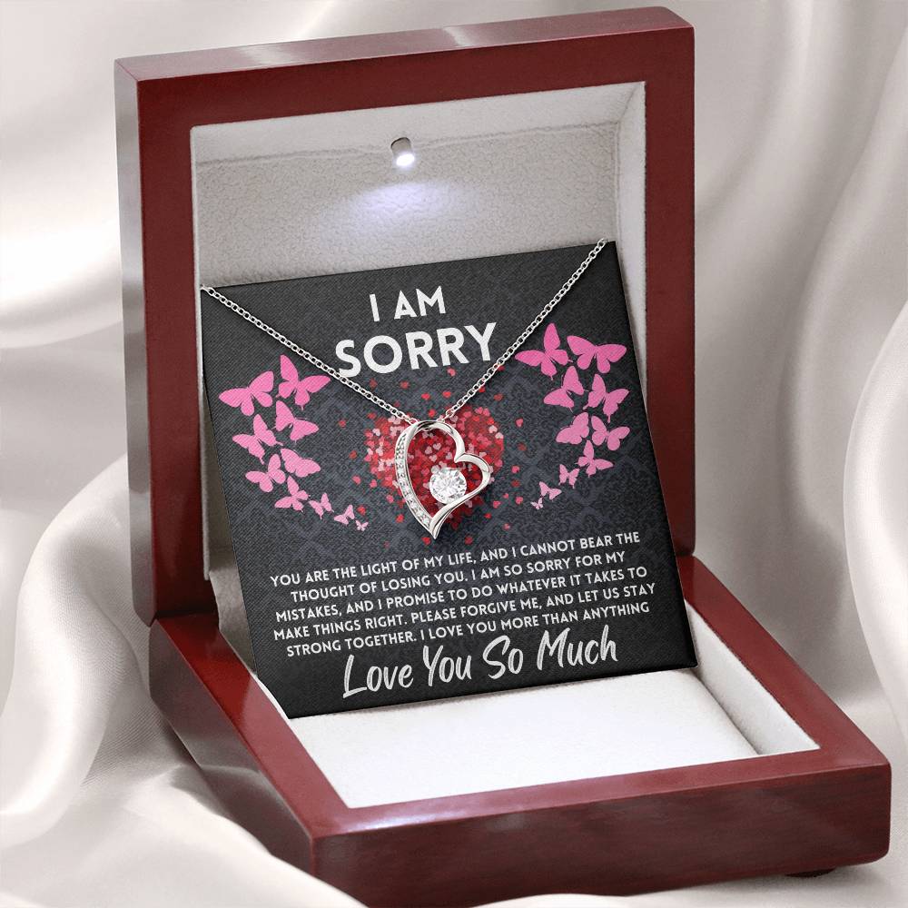 I'm Sorry Gift Apology Gift For Her Please Forgive Me Gift Breakup Gift For  Girlfriend